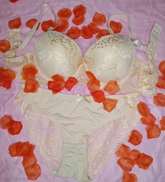 Floral & Lace Embroidery Underwire Bra & Panty Set