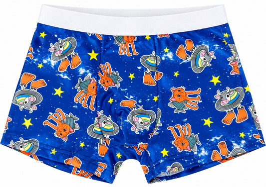 Boys Boxer Briefs